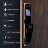 Modern Fingerprint Wifi Door Lock Digital Automatic Door Lock Face Recognize Smart Door Lock with Camera