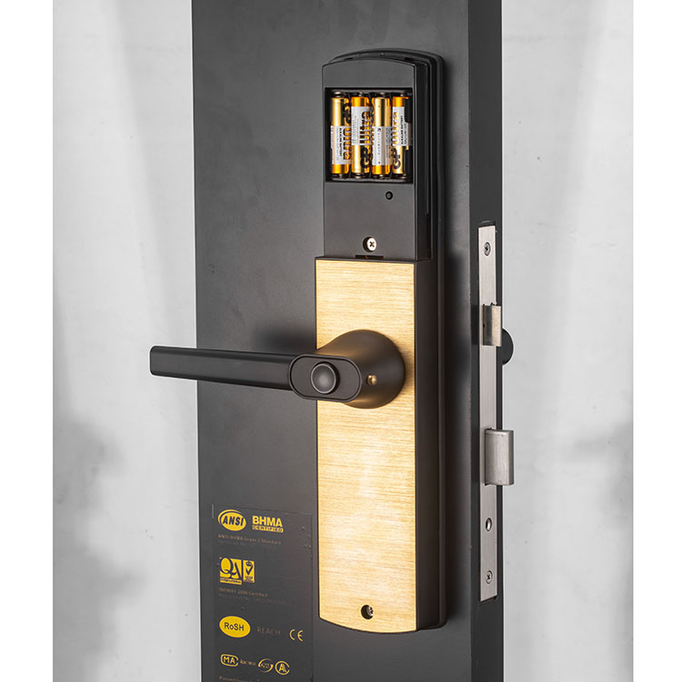 Zinc Alloy Smart Digital Door Lock Smart Digital Door Lock Electronic Entry Door Locks