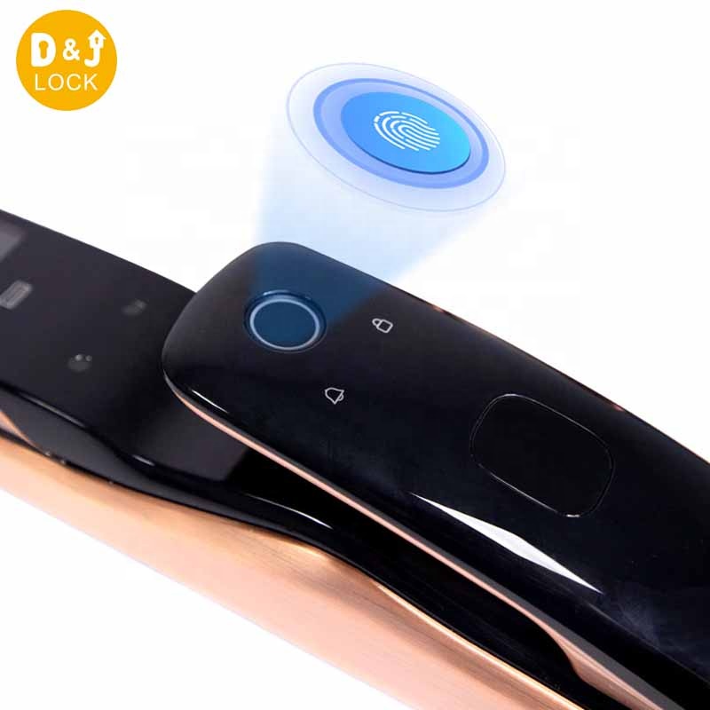 Modern Fingerprint Wifi Door Lock Digital Automatic Door Lock Face Recognize Smart Door Lock with Camera