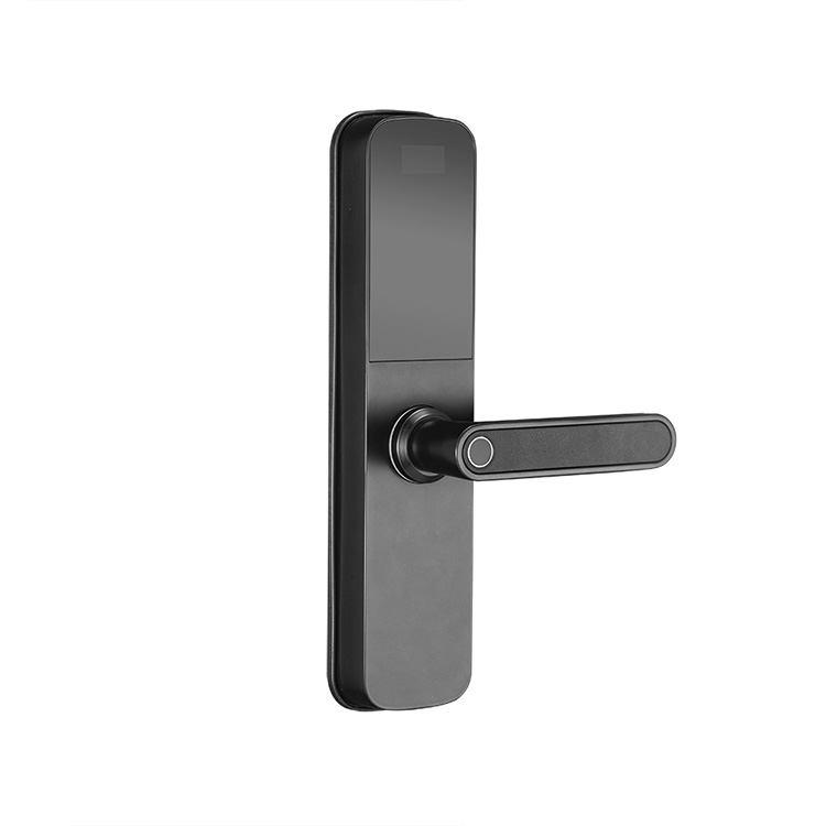 OAC Intelligent Multifuncional Smart Biometric Double Sided Fingerprint Lock for Home Apartment Gate Lock