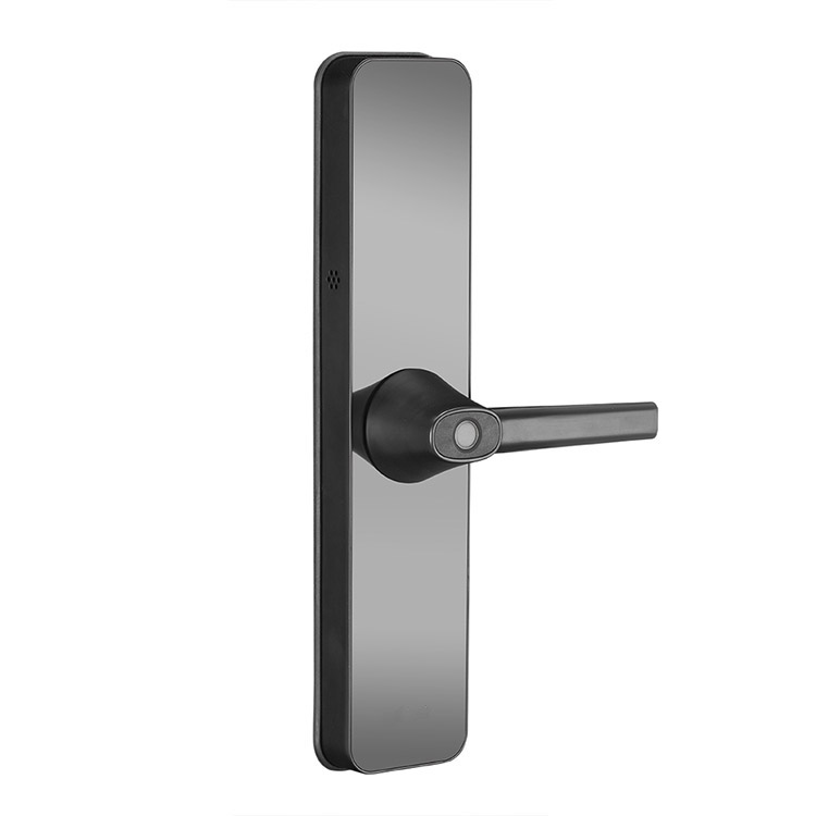 Black Zinc Alloy Cheap Small Multipoint Security Smart Keypad Fingerprint Front Door Lock 