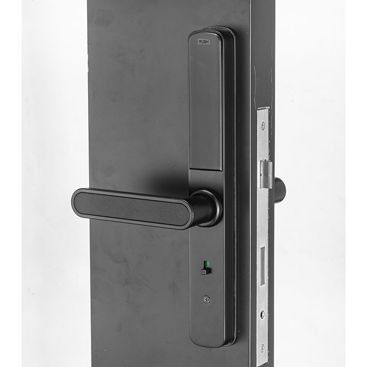 Digital Biometric Password Fingerprint Key Smart Door Lock for House