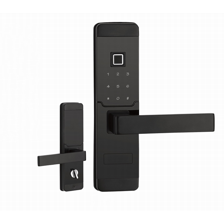 Hot Sale Door Lock Small Mortise Modern Fingerprint Lock Door Stylish Door Lock With Low Price 