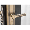 Fingerprint Security Door Handle Lock Open with Password Card Key