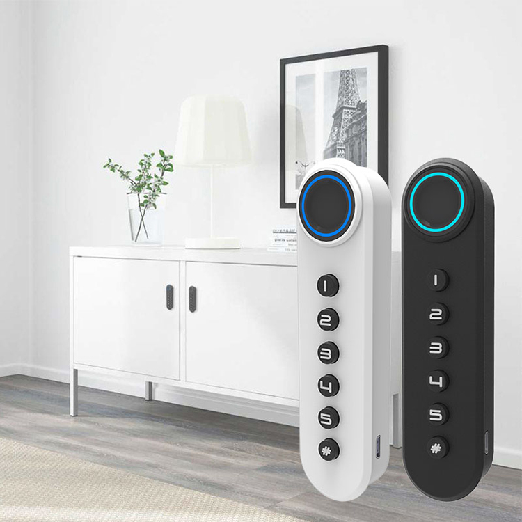 Low Price Fingerprint Cabinet Smart Lock